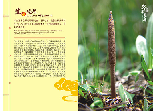 &#20843;&#25106;&#20307;&#32946;&#40;&#20013;&#22269;&#41;&#23448;&#26041;&#32593;&#31449;&#45;&#30331;&#24405;&#20837;&#21475;
